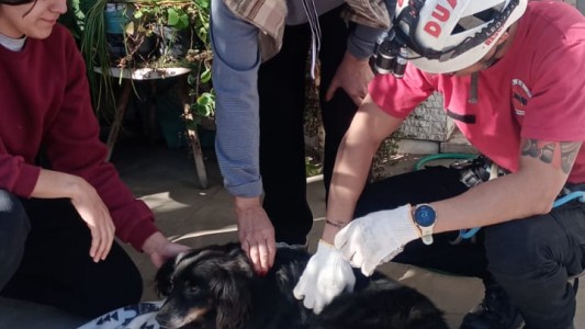 Video: efectivos del DUAR rescataron a un perro que cayó en un pozo negro