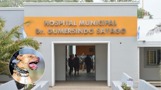 Un pitbull atacó a un menor de 13 años en Carlos Paz: recibió 20 puntos de sutura