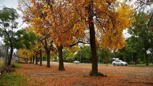 Tiempo en Córdoba: jueves agradable con algunas nubes en la ciudad