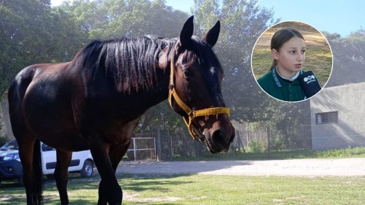 Villa Esquiú: una nena de 10 años busca desesperadamente a sus caballos