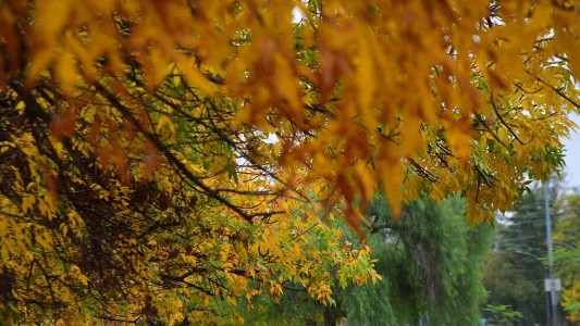 Tiempo en Córdoba: comienzo de semana con buen clima y temperaturas agradables