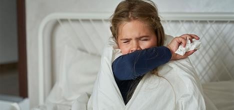 Desarrollan en Argentina una innovadora vacuna nasal contra la tos convulsa