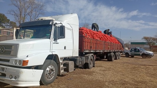 Un camionero intentó sobornar a Gendarmería para evitar multas