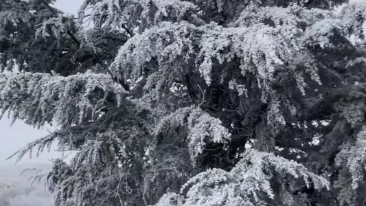 Temperaturas extremas: estas fueron las localidades más frías de Córdoba