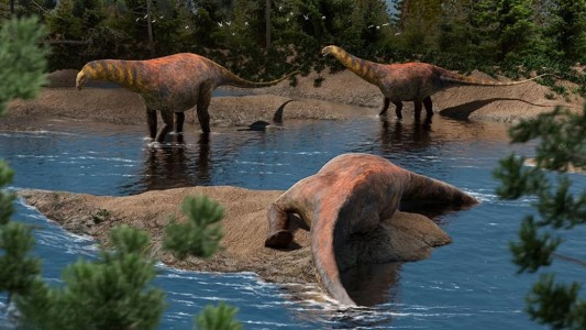 "Astigmasaura genuflexa": descubren en Neuquén una nueva especie de dinosaurio que vivió hace 95 millones de años