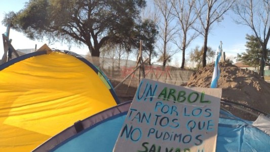 Mientras se define su futuro, vecinos de Villa Allende intentan salvar al quebracho del frío