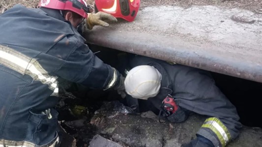 Conmovedor rescate: los bomberos salvaron a un perro que cayó en una boca de tormenta
