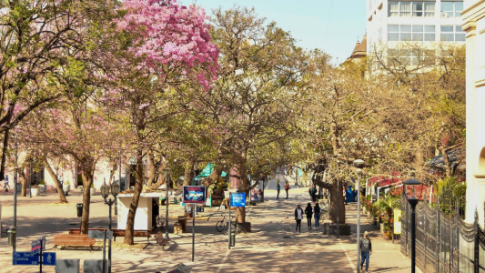 Pronóstico del finde: jornadas con temperaturas templadas y vientos moderados