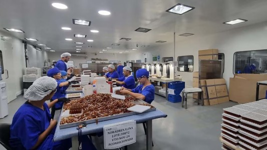 Fentanilo contaminado: aumentan las muertes, crecen las sospechas y ya son miles las historias clínicas bajo estudio