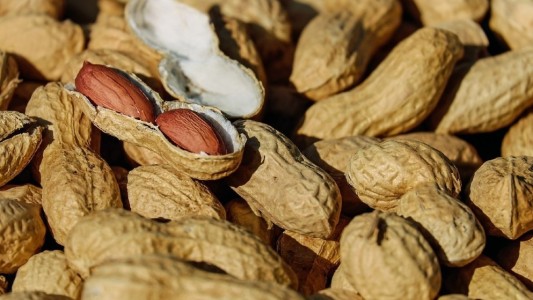 Con gran aporte de Córdoba, Argentina se posiciona como principal exportador de maní en el mundo