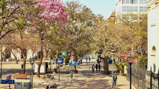 Pronóstico del tiempo en Córdoba: días soleados y temperaturas variables