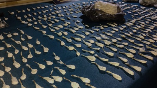 Incautaron más de 1.700 dosis de cocaína en un operativo: tres detenidos