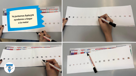 Boleta única: advierten que las personas ciegas o con baja visión no pueden votar de manera autónoma