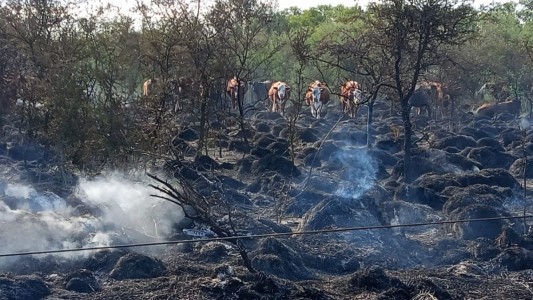 Jerónimo Cortez: detuvieron a dos peones rurales acusados de provocar un incendio