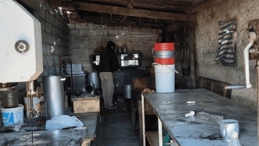 Brote de triquinosis en Córdoba: confirman 13 casos y clausuran un frigorífico