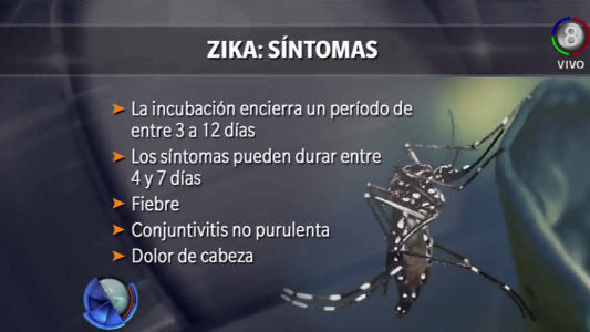 Dengue: Ya son 20 los casos en Córdoba.