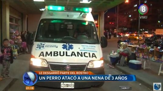 Se recupera una niña de 3 años mordida por un perro