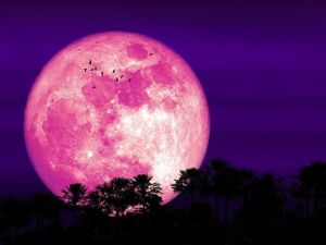 La Luna Rosa de abril: un espectáculo lunar que se podrá ver en todo el país
