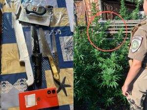 Cae un hombre por abigeato tras múltiples allanamientos en el sur cordobés