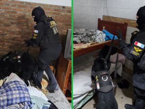 Villa Carlos Paz: El perro Goku detectó droga oculta y cayó un narcomenudista