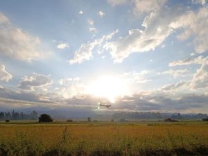Córdoba tendrá un jueves con clima agradable y cielo parcialmente nublado