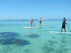 A juicio una agente de viajes cordobesa acusada de múltiples estafas con paquetes al exterior