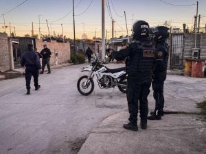 Amplio operativo en Córdoba: 24 detenciones, secuestro vehículos, armas de fuego, dinero, celulares y el rescate de ejemplares de fauna silvestre