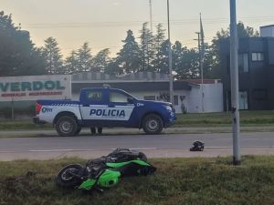 Tragedia en la Autovía 5: un motociclista murió tras chocar contra un caballo