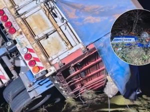 Fatal choque múltiple en Ruta 9: murió una mujer y hubo varios heridos