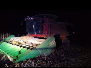 Investigan la muerte de un trabajador rural durante una cosecha en Alto Alegre
