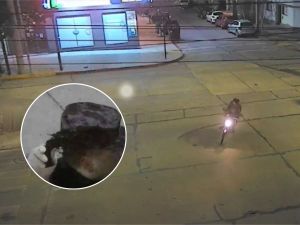 Intentaron evadir un control policial en moto y fueron detenidos con un arma en Alto Alberdi