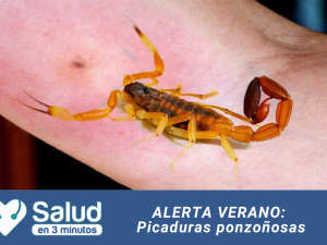 Picaduras de animales ponzoñosos