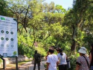 Naturaleza, aprendizaje y aire libre: Córdoba invita a disfrutar propuestas ambientales gratuitas