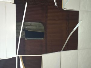 Intentó rescatar a su gato y cayó del techo de un gimnasio: está grave en San Martín