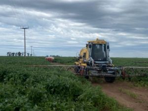 La Tosquita: un trabajador rural murió electrocutado tras tocar cables de alta tensión