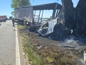 Impactó contra un árbol y el camión se incendió: el dramático episodio ocurrido en la Ruta 8