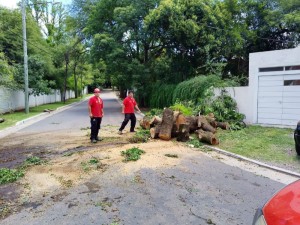 Defensa Civil recibió 950 llamados debido a las consecuencias de la tormenta y continúan trabajando