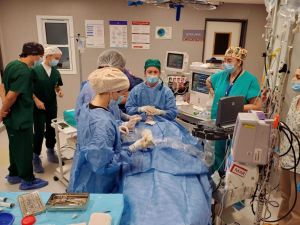 Hito en la salud pública cordobesa: primera ablación por microondas de tiroides en el Nuevo Hospital San Roque