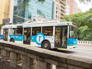 Alerta en TAMSE: trabajadores cuestionan la subasta de colectivos y el traspaso de líneas