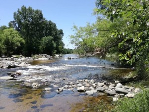 Investigan la muerte de un hombre que se descompensó en el río Anisacate