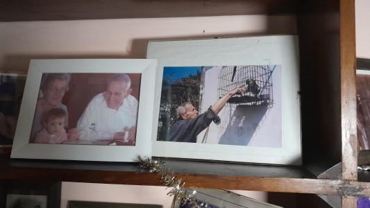 Robaron a “Pipo”, un loro barranquero de más de 40 años que era parte de una familia de barrio Ameghino Sur