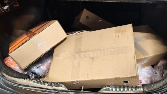 Detuvieron a un hombre por robar cajas de carne de un frigorífico en Morteros