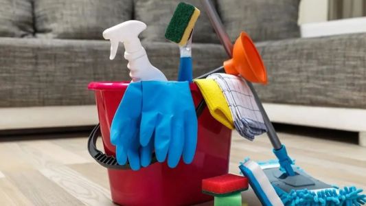 El Gobierno oficializó el aumento para empleadas domésticas y un bono de $20.000