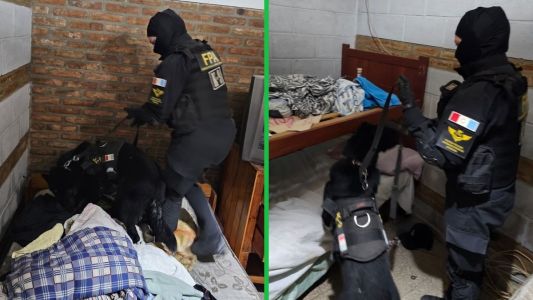 Villa Carlos Paz: El perro Goku detectó droga oculta y cayó un narcomenudista
