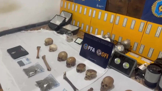 Hallan 10 cráneos humanos y plantas de marihuana durante un operativo antidrogas