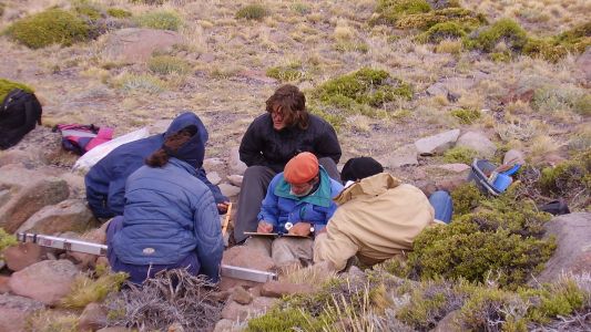 Rafael Goñi, el arqueólogo que hizo de la Patagonia su laboratorio y alcanzó un reconocimiento histórico