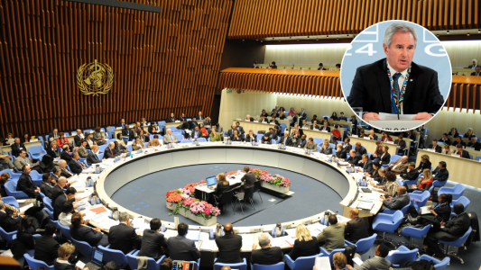 Argentina formalizó su salida de la OMS tras un año de la notificación oficial