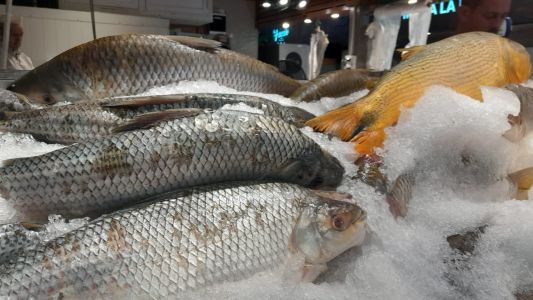 Semana Santa: la venta de pescado crece por precios estables y beneficios nutricionales
