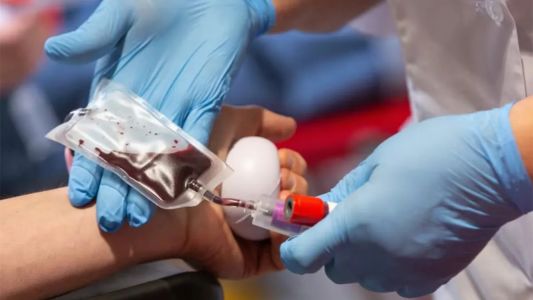 Cambio histórico en los Testigos de Jehová: habilitan autotransfusiones bajo decisión individual