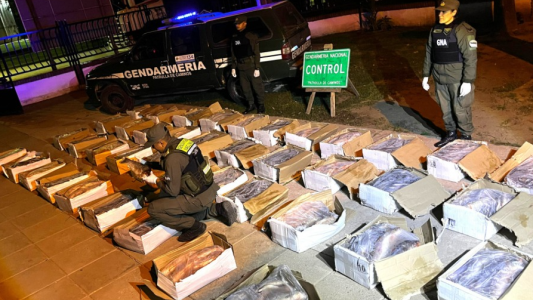 Córdoba: secuestran una tonelada de pescado transportado sin cadena de frío